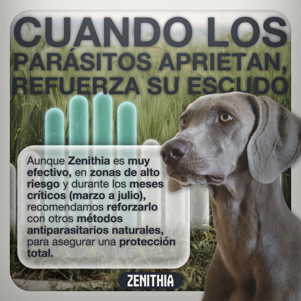 Zenithia Collar Repelente de Insectos, Antipulgas Perros, Garrapatas y Mosquitos, Collar Antiparasitario Perros-12 Meses Protección-65cm-Ajustable-100% Vegetal-Impermeable- 1 Und
