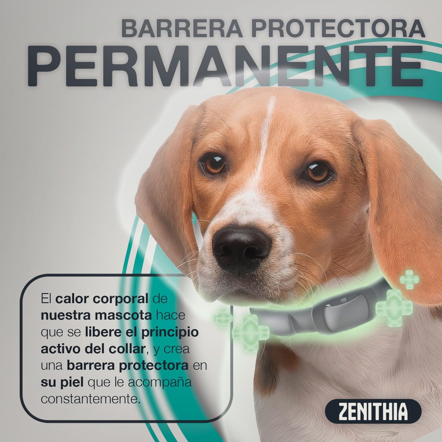 Zenithia Collar Repelente de Insectos, Antipulgas Perros, Garrapatas y Mosquitos, Collar Antiparasitario Perros-12 Meses Protección-65cm-Ajustable-100% Vegetal-Impermeable- 1 Und