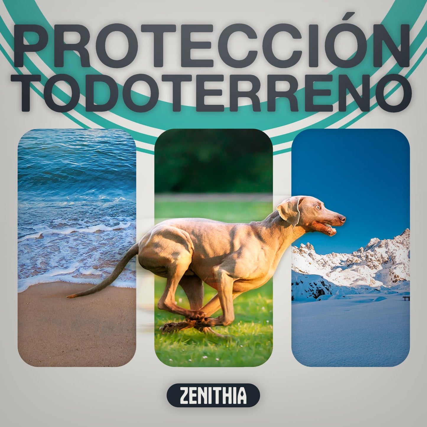 Zenithia Collar Repelente de Insectos, Antipulgas Perros, Garrapatas y Mosquitos, Collar Antiparasitario Perros-12 Meses Protección-65cm-Ajustable-100% Vegetal-Impermeable- 1 Und