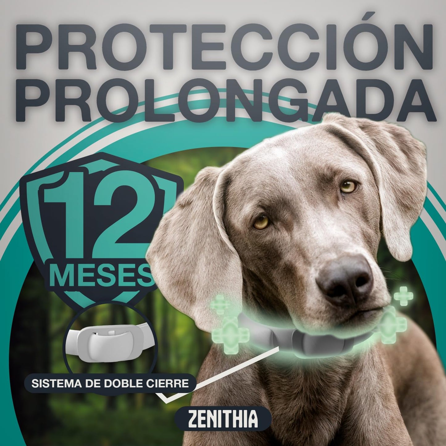 Zenithia Collar Repelente de Insectos, Antipulgas Perros, Garrapatas y Mosquitos, Collar Antiparasitario Perros-12 Meses Protección-65cm-Ajustable-100% Vegetal-Impermeable- 1 Und
