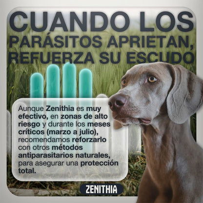 Zenithia Collar Repelente de Insectos, Antipulgas Perros, Garrapatas y Mosquitos, Collar Antiparasitario Perros-12 Meses Protección-65cm-Ajustable-100% Vegetal-Impermeable- 1 Und