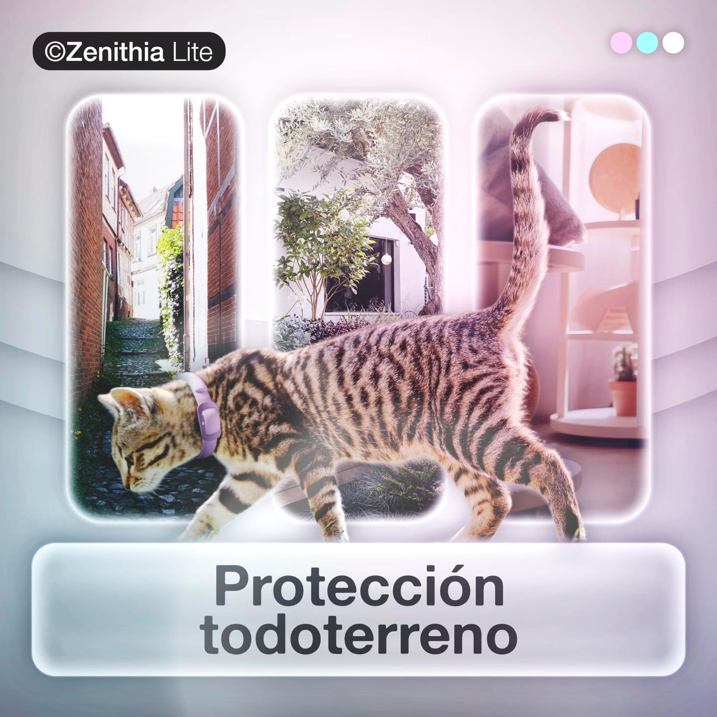 Zenithia Lite - Collar Repelnte de Insectos para Gatos