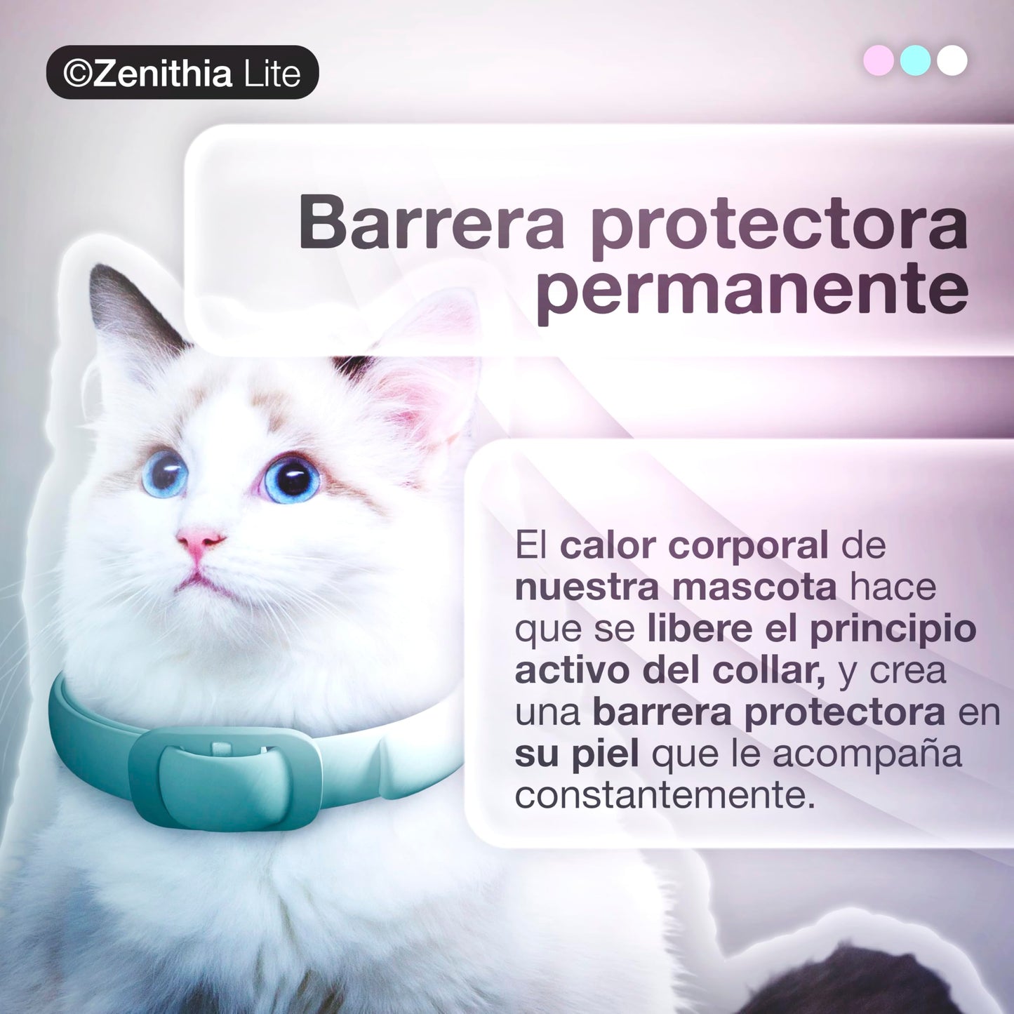 Zenithia Collar Repelente de Insectos, Antipulgas Perros, Garrapatas y Mosquitos, Collar Antiparasitario Perros-12 Meses Protección-65cm-Ajustable-100% Vegetal-Impermeable- 1 Und
