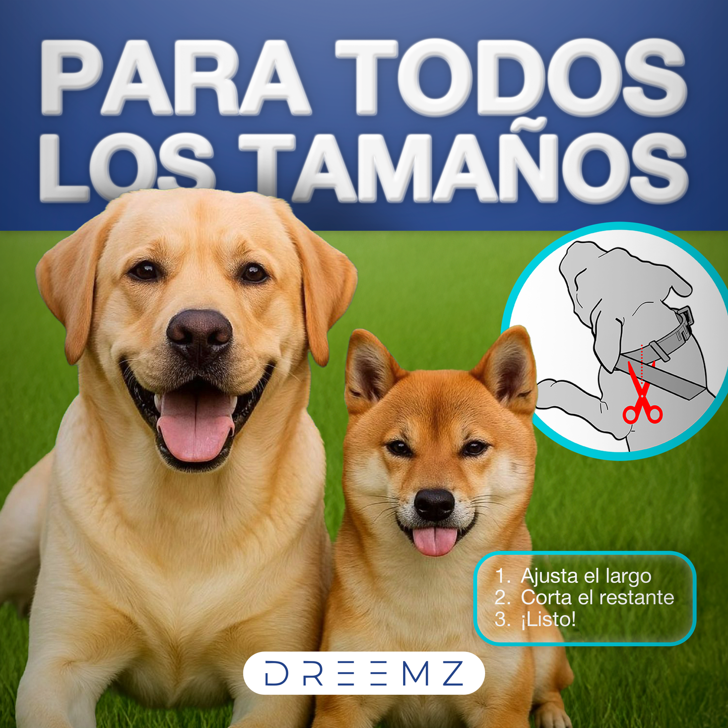 Dreemz - Collar Repelente de Insectos