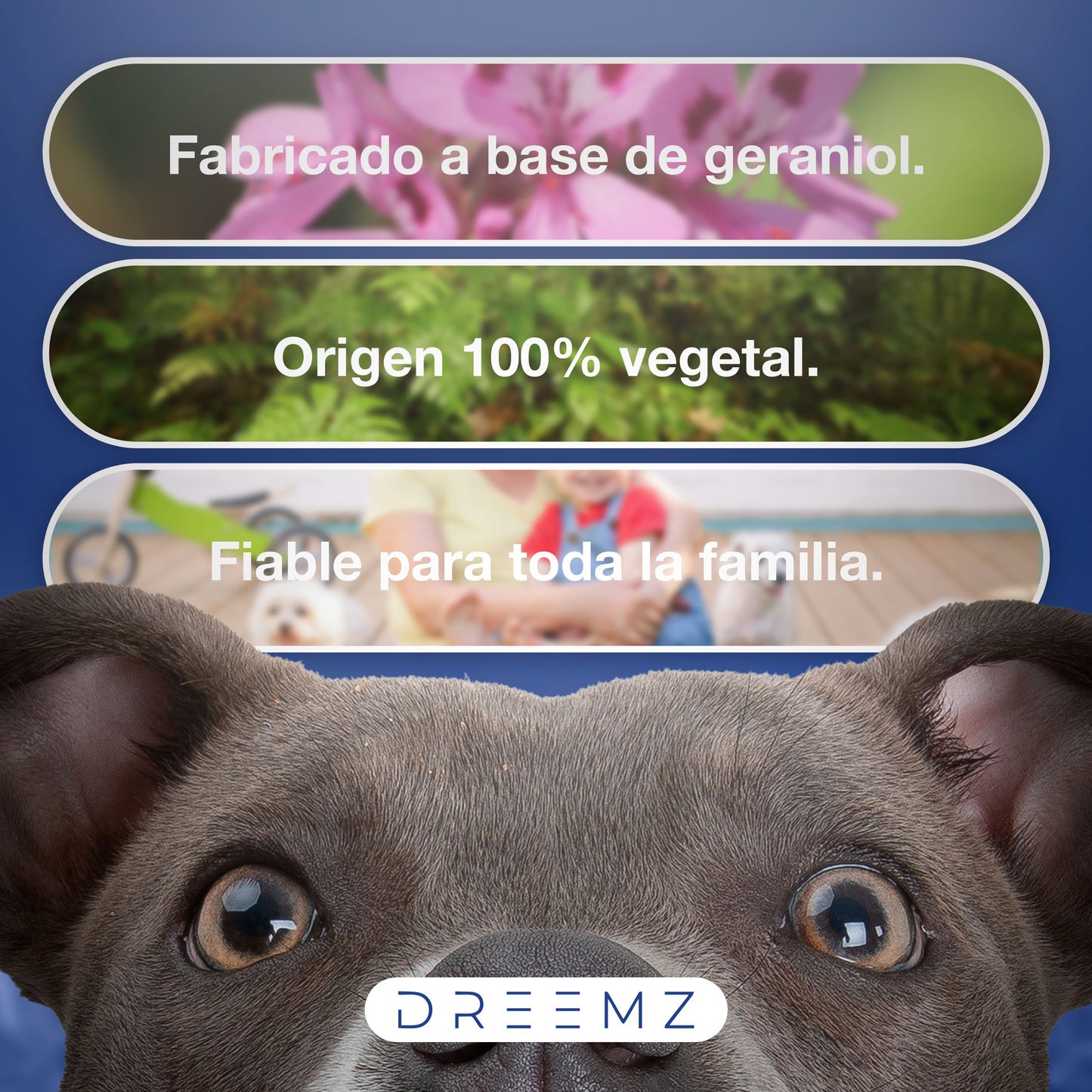 Dreemz - Collar Repelente de Insectos